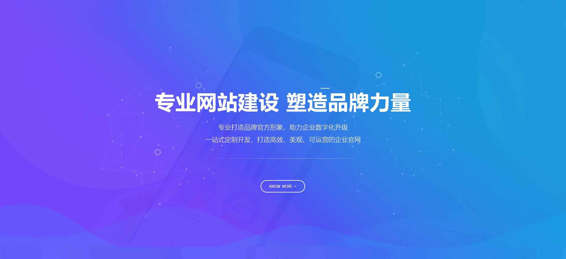 金口河建站-专业网站建设 塑造品牌力量