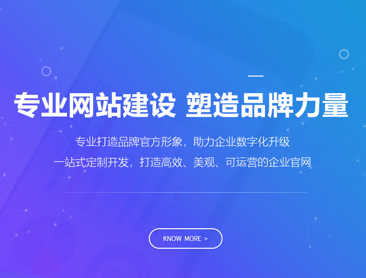 金口河建站-专业网站建设 塑造品牌力量